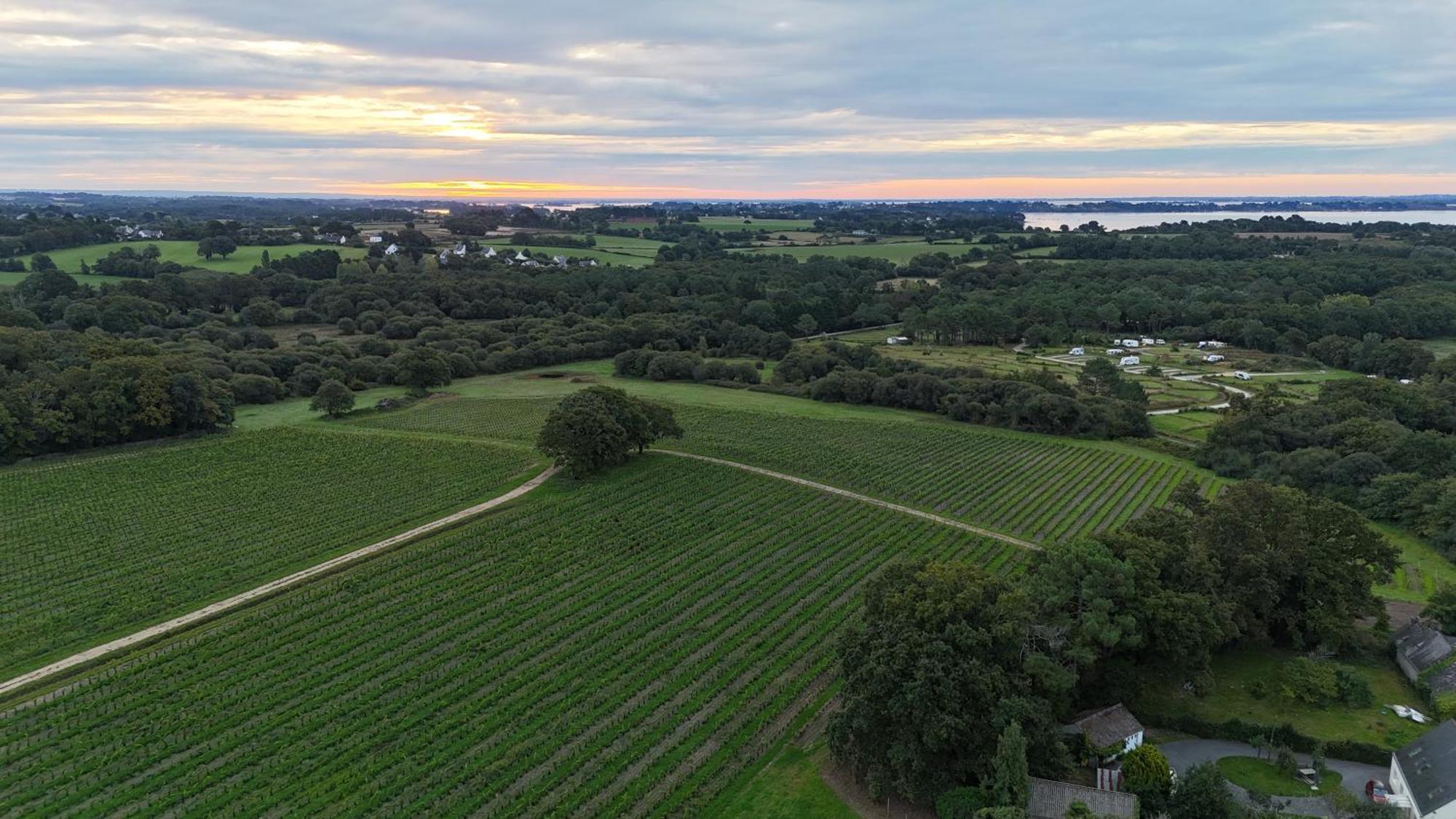 Luxueuse Longere 350M2 "Le Grand Kerfra" Au Vignoble Domaine Lamballe, Baden, Golfe Du Morbihan ภายนอก รูปภาพ